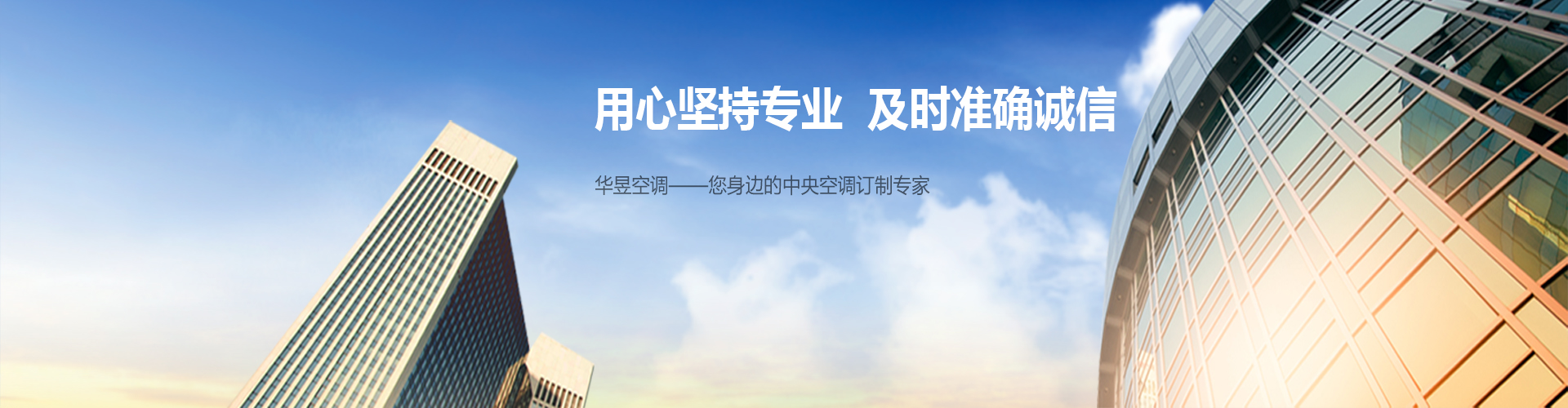 鸠形鹄面网
